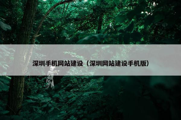 深圳手机网站建设（深圳网站建设手机版）