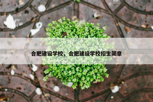 合肥建设学校，合肥建设学校招生简章