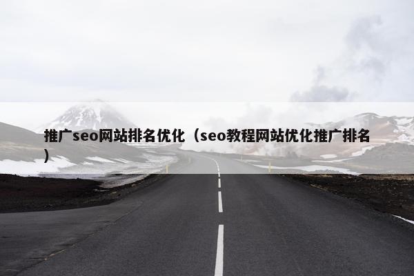 推广seo网站排名优化（seo教程网站优化推广排名）