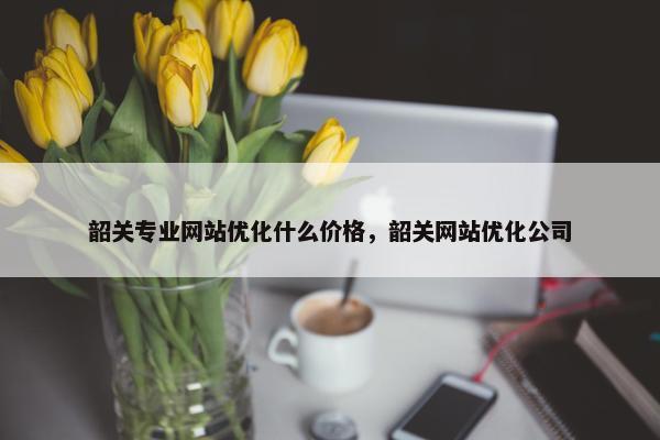 韶关专业网站优化什么价格，韶关网站优化公司