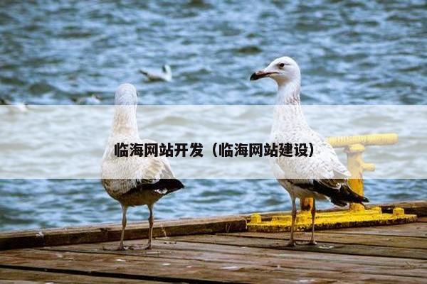 临海网站开发（临海网站建设）