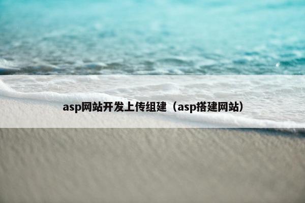 asp网站开发上传组建（asp搭建网站）