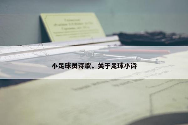 小足球员诗歌，关于足球小诗