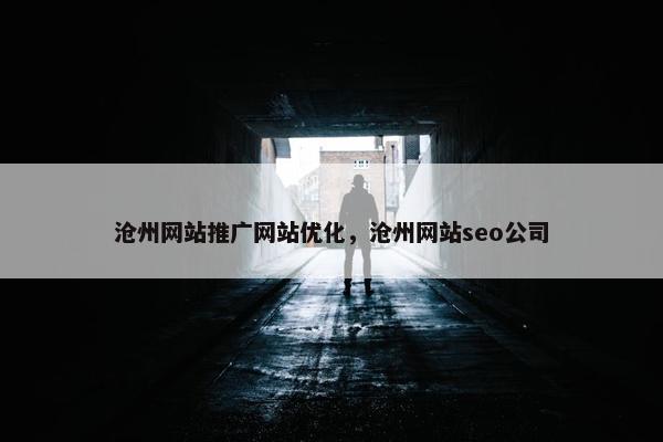 沧州网站推广网站优化，沧州网站seo公司