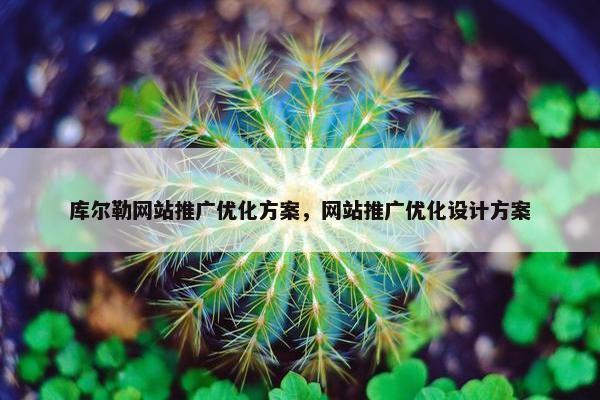 库尔勒网站推广优化方案，网站推广优化设计方案