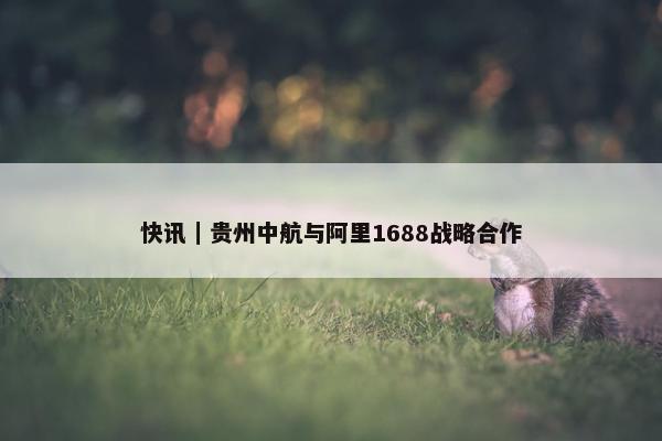 快讯｜贵州中航与阿里1688战略合作