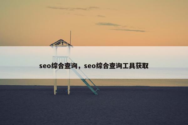 seo综合查询，seo综合查询工具获取