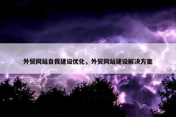 外贸网站自我建设优化，外贸网站建设解决方案