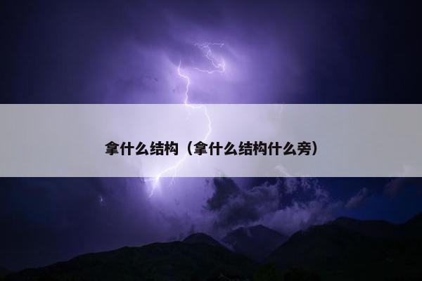 拿什么结构（拿什么结构什么旁）