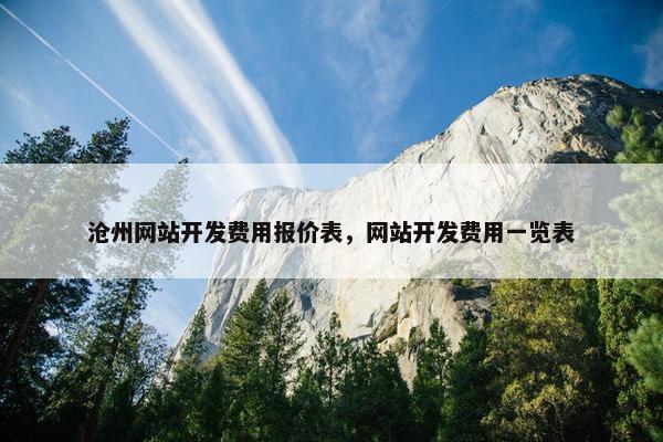 沧州网站开发费用报价表，网站开发费用一览表