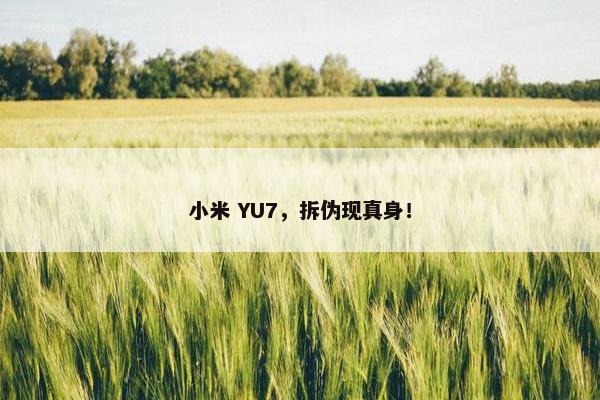 小米 YU7，拆伪现真身！