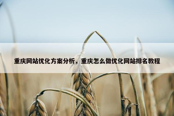 重庆网站优化方案分析，重庆怎么做优化网站排名教程