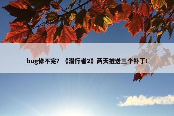 bug修不完？《潜行者2》两天推送三个补丁！