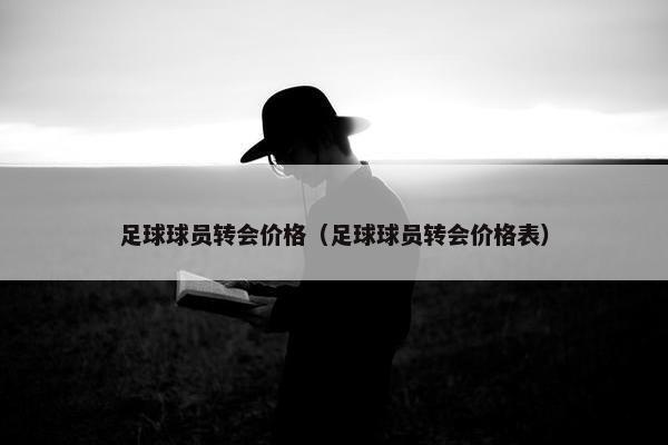 足球球员转会价格（足球球员转会价格表）