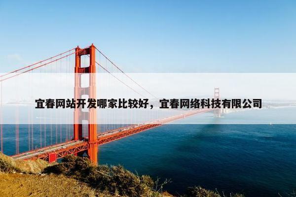 宜春网站开发哪家比较好，宜春网络科技有限公司