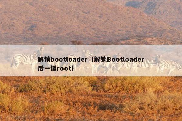 解锁bootloader（解锁Bootloader后一键root）