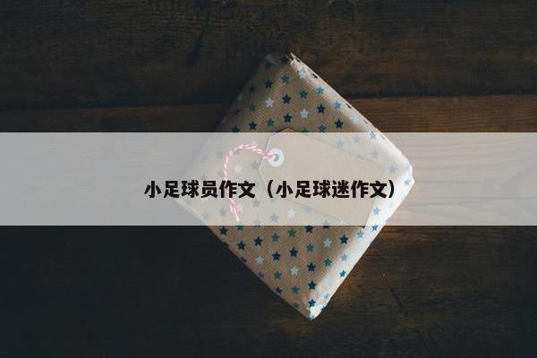 小足球员作文（小足球迷作文）