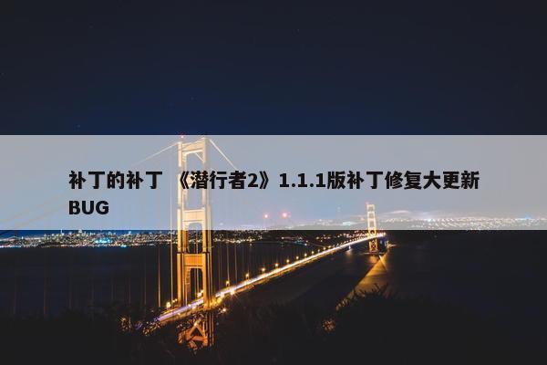 补丁的补丁 《潜行者2》1.1.1版补丁修复大更新BUG