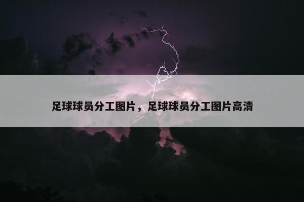 足球球员分工图片，足球球员分工图片高清