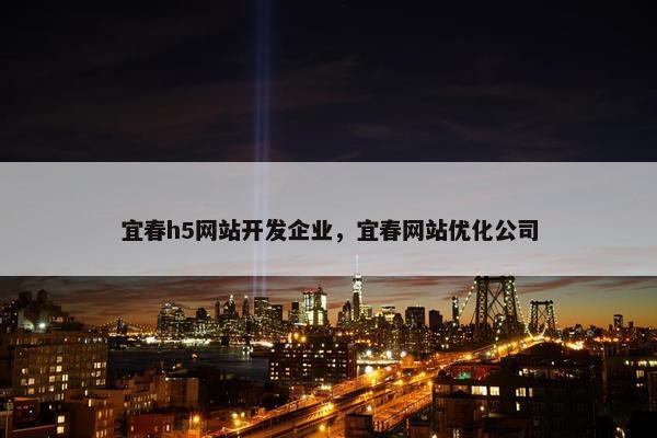 宜春h5网站开发企业，宜春网站优化公司