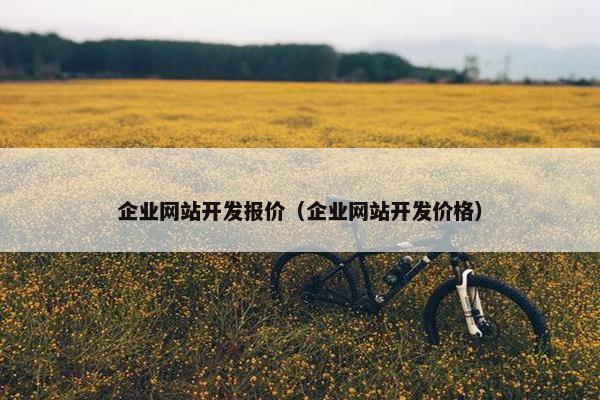 企业网站开发报价（企业网站开发价格）