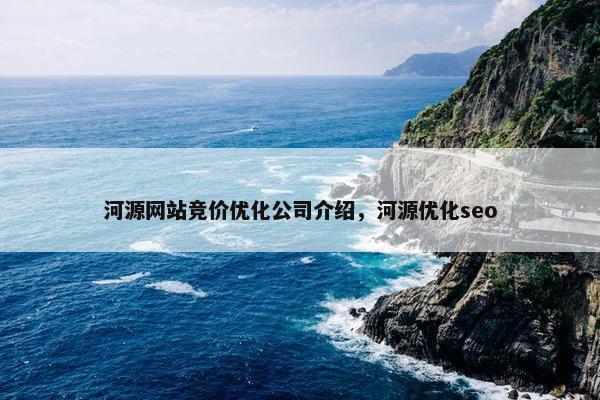 河源网站竞价优化公司介绍，河源优化seo