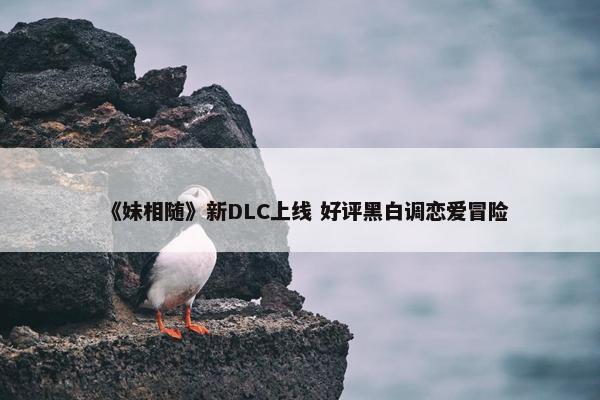 《妹相随》新DLC上线 好评黑白调恋爱冒险