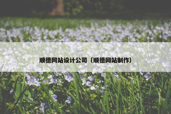 顺德网站设计公司（顺德网站制作）