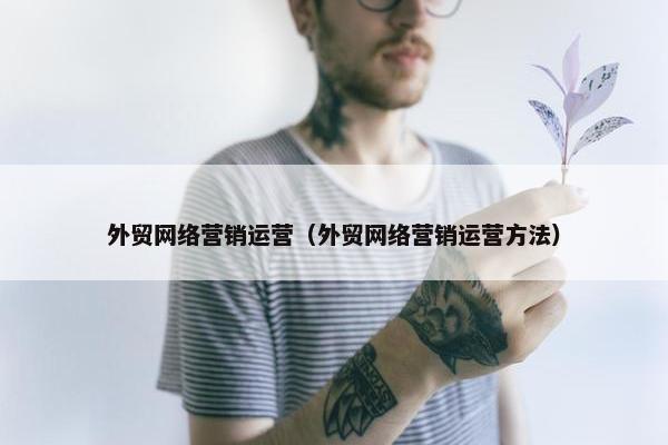 外贸网络营销运营（外贸网络营销运营方法）