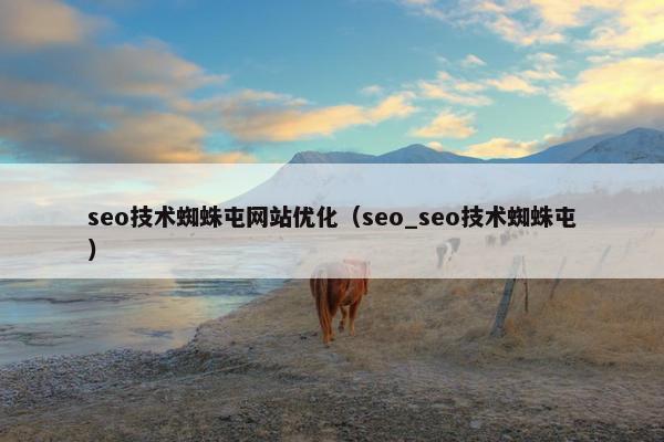 seo技术蜘蛛屯网站优化（seo_seo技术蜘蛛屯）