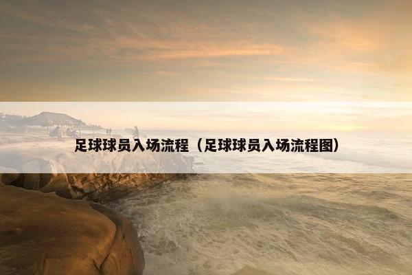 足球球员入场流程（足球球员入场流程图）