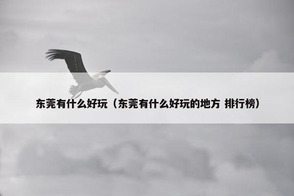 东莞有什么好玩（东莞有什么好玩的地方 排行榜）