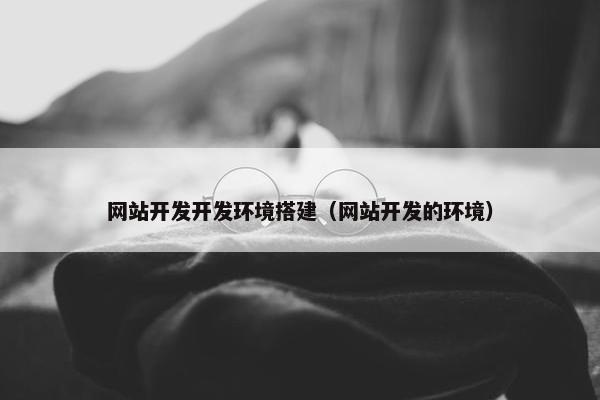 网站开发开发环境搭建（网站开发的环境）