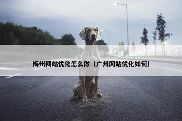 梅州网站优化怎么做（广州网站优化如何）