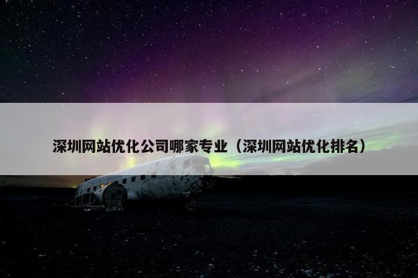 深圳网站优化公司哪家专业（深圳网站优化排名）