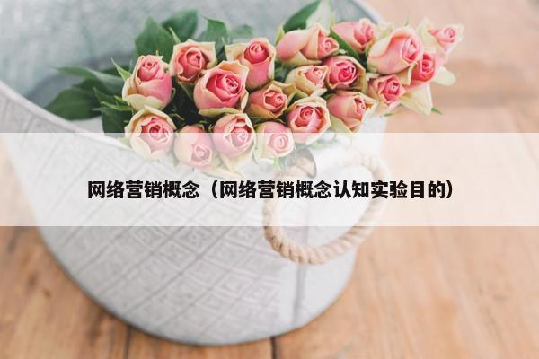 网络营销概念（网络营销概念认知实验目的）