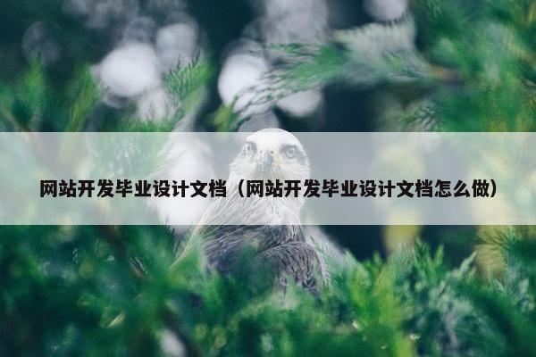 网站开发毕业设计文档（网站开发毕业设计文档怎么做）