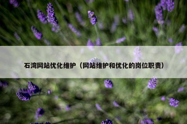 石湾网站优化维护（网站维护和优化的岗位职责）