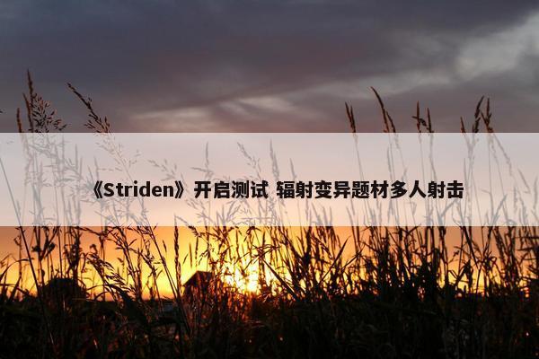 《Striden》开启测试 辐射变异题材多人射击