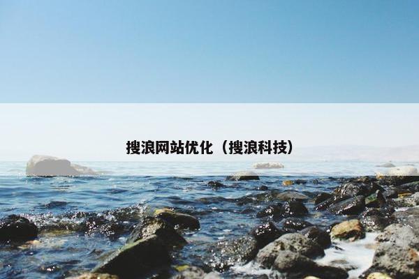 搜浪网站优化（搜浪科技）