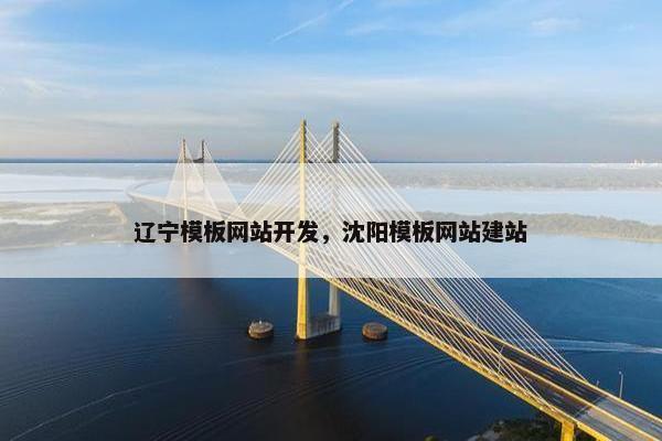 辽宁模板网站开发，沈阳模板网站建站