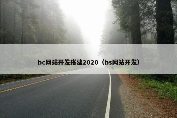 bc网站开发搭建2020（bs网站开发）