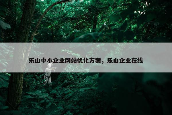 乐山中小企业网站优化方案，乐山企业在线