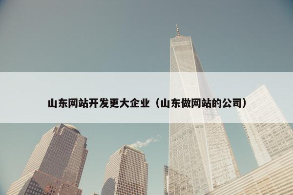 山东网站开发更大企业（山东做网站的公司）