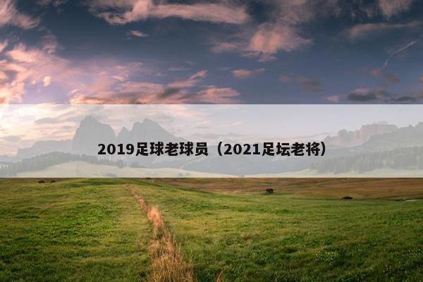 2019足球老球员（2021足坛老将）