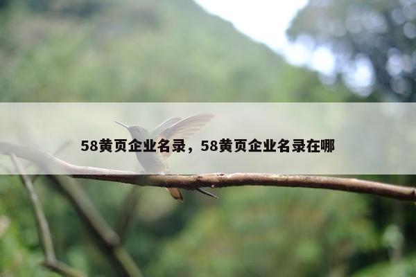 58黄页企业名录，58黄页企业名录在哪