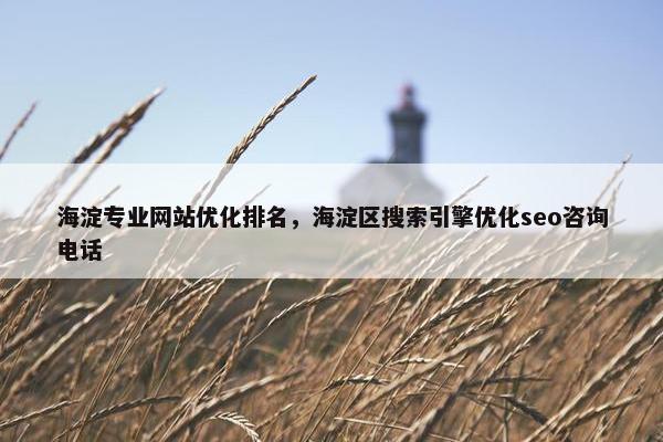 海淀专业网站优化排名，海淀区搜索引擎优化seo咨询电话