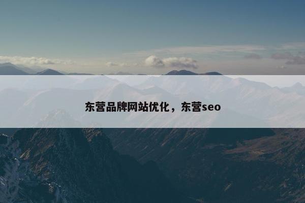 东营品牌网站优化，东营seo