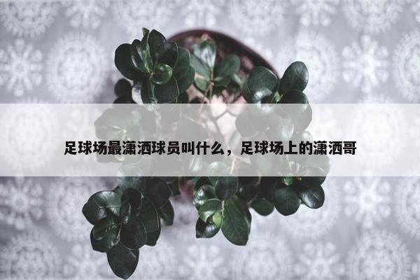 足球场最潇洒球员叫什么，足球场上的潇洒哥