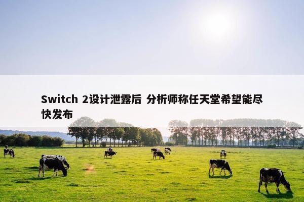 Switch 2设计泄露后 分析师称任天堂希望能尽快发布